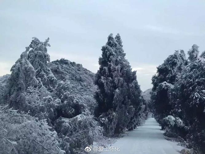 湖南雪峰山下雪了吗?湖南雪峰山天气情况-图3 湖南雪峰山下雪了吗?湖南雪峰山天气情况-图3