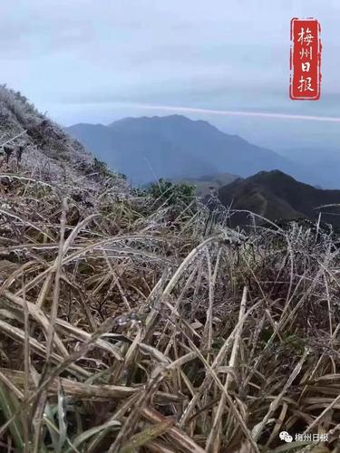 梅州下雪是真的吗?梅州14号天气情况-图3 梅州下雪是真的吗?梅州14号天气情况-图3