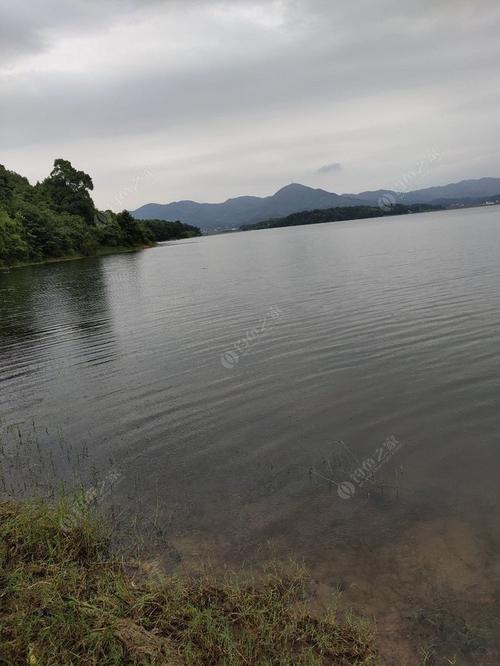 瑞安野钓最佳地点最近时间?瑞安25号天气情况-图2 瑞安野钓最佳地点最近时间?瑞安25号天气情况-图2