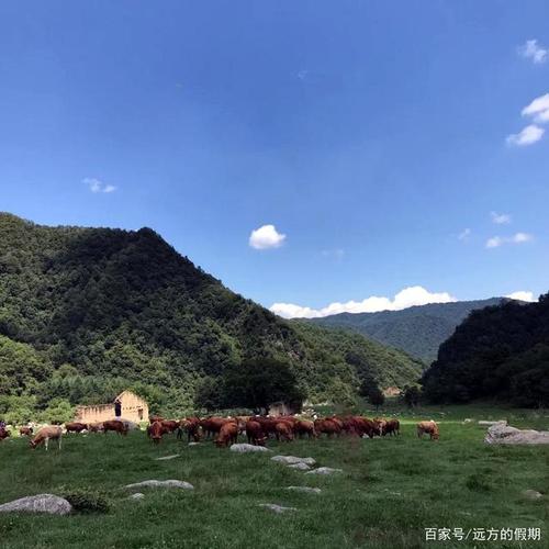 陕南有哪些好玩的地方?牧护关天气情况-图3 陕南有哪些好玩的地方?牧护关天气情况-图3
