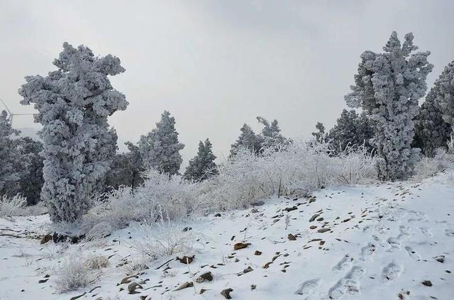 莱芜下的雪大吗?明天莱芜的天气情况-图3 莱芜下的雪大吗?明天莱芜的天气情况-图3