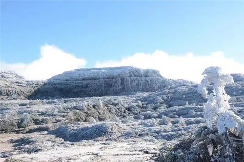 轿子雪山2023一月份有雪吗?禄劝县屏山天气情况-图3 轿子雪山2023一月份有雪吗?禄劝县屏山天气情况-图3