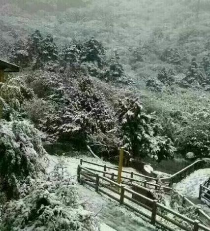 轿子雪山2023一月份有雪吗?禄劝县屏山天气情况-图2 轿子雪山2023一月份有雪吗?禄劝县屏山天气情况-图2