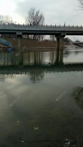 呼兰白旗村河边好钓鱼吗？明天呼兰市区天气情况