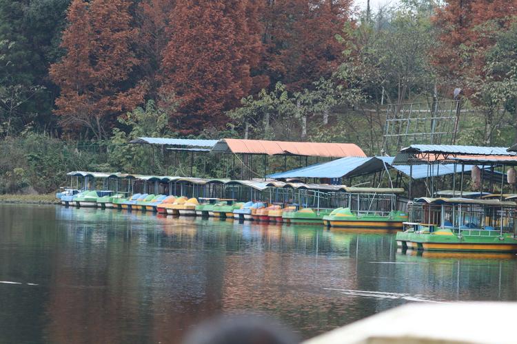 阳江共青湖可以钓鱼吗?共青湖景区天气情况-图3 阳江共青湖可以钓鱼吗?共青湖景区天气情况-图3