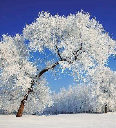 吉林龙潭11月7号雪休吗?龙潭区天气情况-图3 吉林龙潭11月7号雪休吗?龙潭区天气情况-图3
