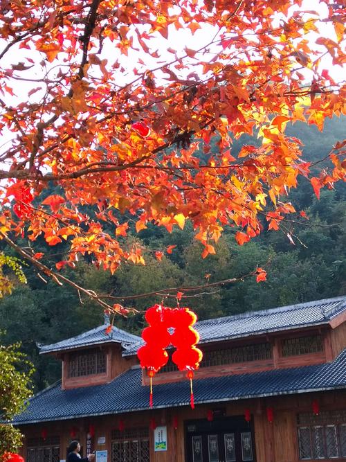广西德保红叶观赏时间?5号德保天气情况-图2 广西德保红叶观赏时间?5号德保天气情况-图2