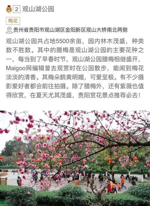 余杭樱花开放时间?余杭明天天气情况-图3 余杭樱花开放时间?余杭明天天气情况-图3