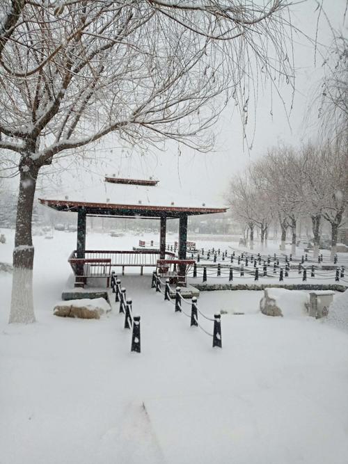 蓬莱雪下得大吗?蓬莱之行的天气情况-图2 蓬莱雪下得大吗?蓬莱之行的天气情况-图2