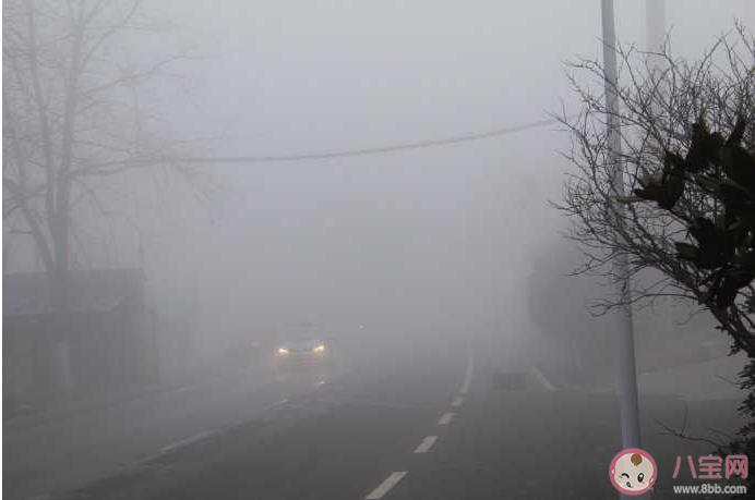 形容大雾天气的诗?江山26号天气情况-图2 形容大雾天气的诗?江山26号天气情况-图2