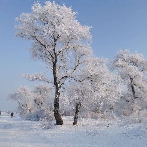 吉林市十一月九号雪休吗?19号吉林天气情况-图3 吉林市十一月九号雪休吗?19号吉林天气情况-图3