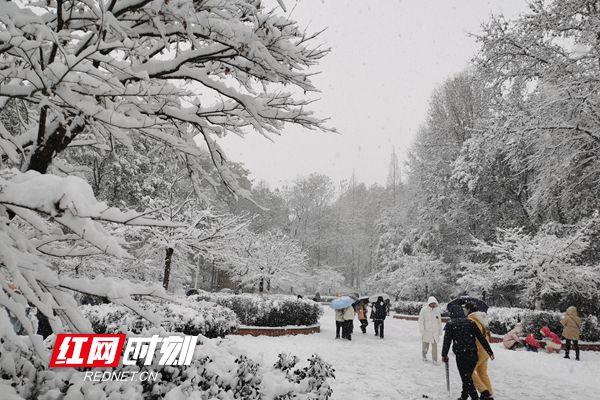 湖南怀化下大雪了吗?今天怀化的天气情况-图3 湖南怀化下大雪了吗?今天怀化的天气情况-图3