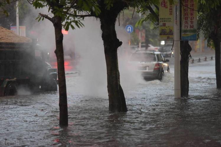8月份的雨叫什么?7.8号广安天气情况-图2 8月份的雨叫什么?7.8号广安天气情况-图2