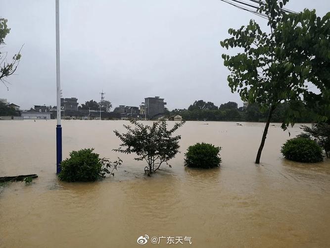 深圳龙华哪里最容易淹水?深圳龙华的天气情况-图3 深圳龙华哪里最容易淹水?深圳龙华的天气情况-图3