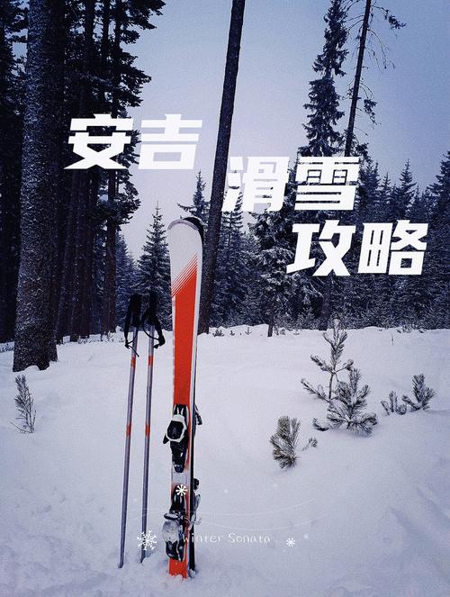 安吉的雪是不是人工降雪?30号安吉天气情况-图3 安吉的雪是不是人工降雪?30号安吉天气情况-图3