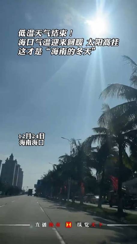 海口冬天什么时候开始暖和?海口 冬天天气情况-图3 海口冬天什么时候开始暖和?海口 冬天天气情况-图3