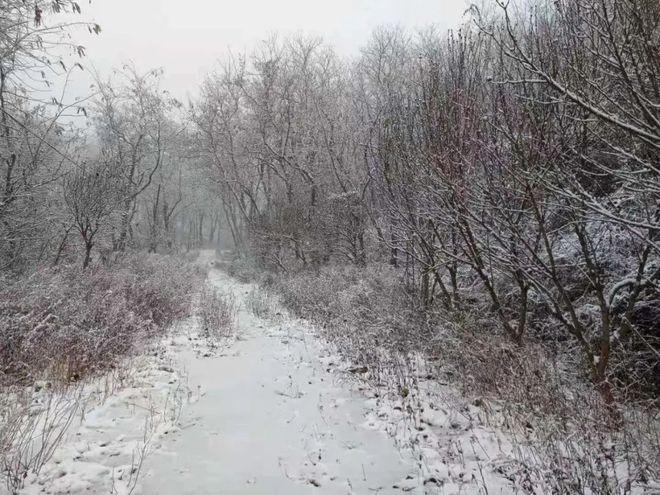 栖霞雪大吗?25号天气情况栖霞-图2 栖霞雪大吗?25号天气情况栖霞-图2