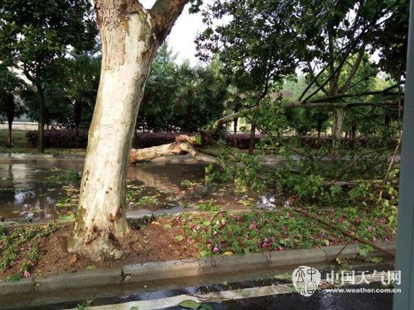丹江今天冰雹是什么情况?丹江口天气情况-图2 丹江今天冰雹是什么情况?丹江口天气情况-图2