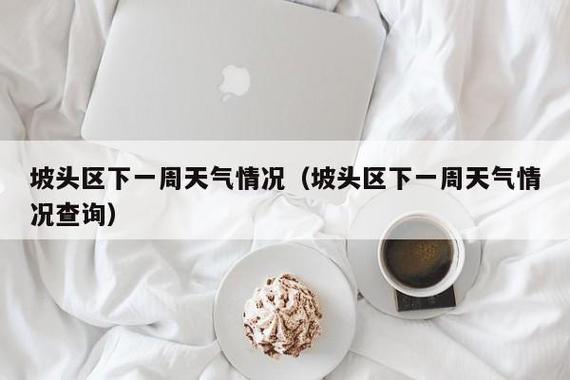 湛江坡头区概况?明天坡头区的天气情况-图2 湛江坡头区概况?明天坡头区的天气情况-图2