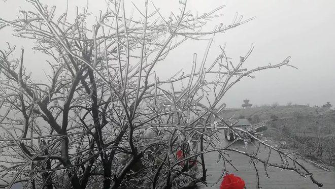 诸暨东白山下雪了吗?12月诸暨天气情况-图2 诸暨东白山下雪了吗?12月诸暨天气情况-图2