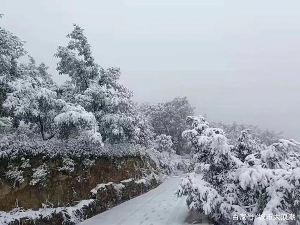 诸暨东白山下雪了吗?12月诸暨天气情况-图3 诸暨东白山下雪了吗?12月诸暨天气情况-图3