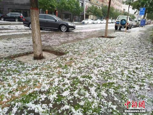 今天石家庄什么地方下冰雹了?行唐县天气情况-图3 今天石家庄什么地方下冰雹了?行唐县天气情况-图3
