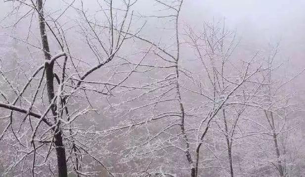 绵竹九龙山下雪了吗?绵竹明天天气情况-图3 绵竹九龙山下雪了吗?绵竹明天天气情况-图3