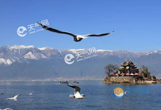 云南大理2月份天气穿什么衣服?大理2日天气情况-图3 云南大理2月份天气穿什么衣服?大理2日天气情况-图3