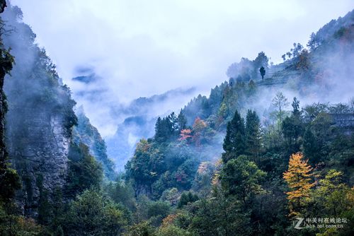 旺苍米仓山自驾游攻略?旺苍近半月天气情况-图1 旺苍米仓山自驾游攻略?旺苍近半月天气情况-图1