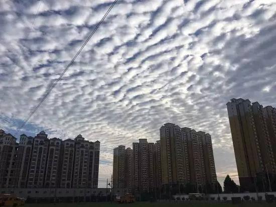 汶川地震前有什么征兆?汶川地震天气情况-图3 汶川地震前有什么征兆?汶川地震天气情况-图3