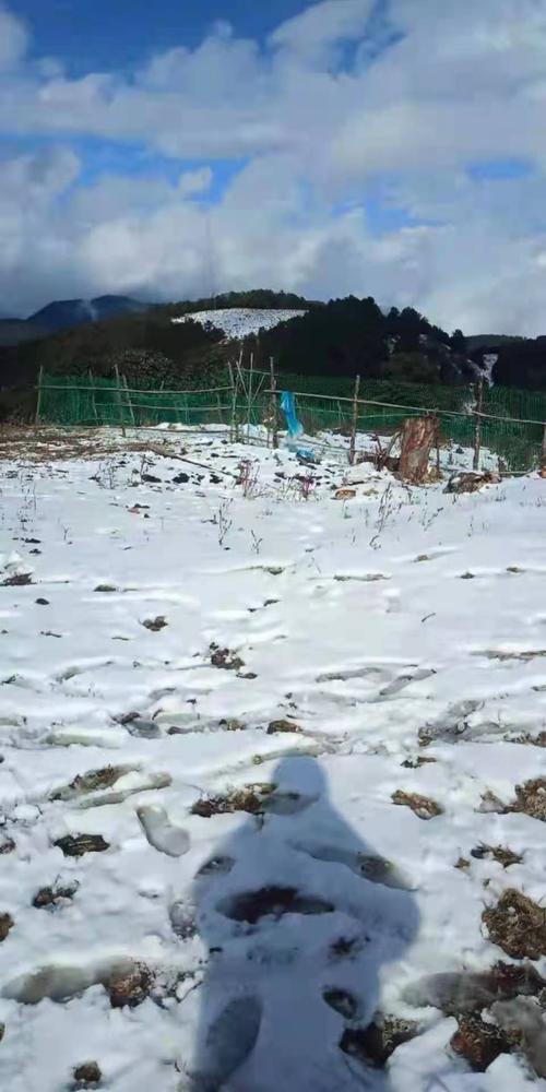 保山适合过冬吗?保山最近的天气情况-图2 保山适合过冬吗?保山最近的天气情况-图2