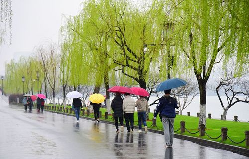 杭州西湖堵不堵?西湖昨天的天气情况-图3 杭州西湖堵不堵?西湖昨天的天气情况-图3
