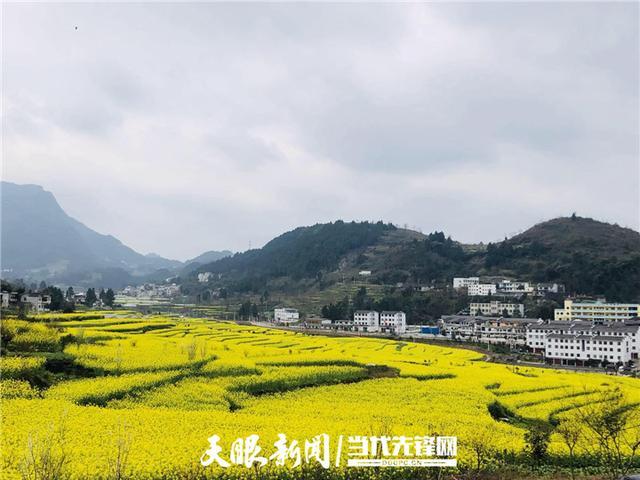 正安桐梓垭油菜花怎么去?遵义正安路面天气情况-图2 正安桐梓垭油菜花怎么去?遵义正安路面天气情况-图2