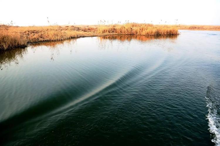 东平湖气候特征?今天的东平天气情况-图3 东平湖气候特征?今天的东平天气情况-图3
