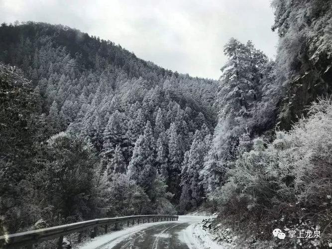 成都龙泉今天下雪了吗？龙泉上周天气情况