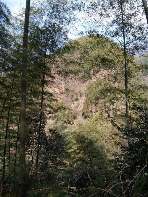 浙江江山历史名胜景区?衢州江山的天气情况-图2 浙江江山历史名胜景区?衢州江山的天气情况-图2