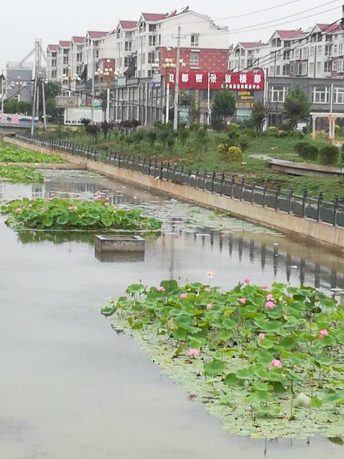 哪座城市给你留下了美好的记忆?浚县下周的天气情况-图2 哪座城市给你留下了美好的记忆?浚县下周的天气情况-图2