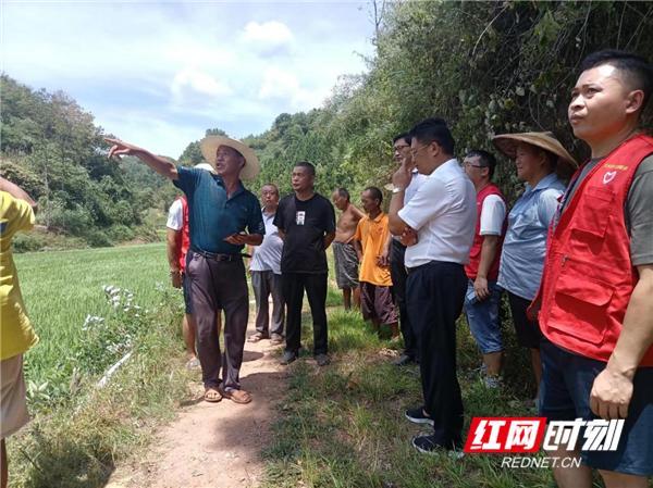 辰溪大水田乡杉木溪村7组通组公路硬化今年好久开工？辰溪县天气情况