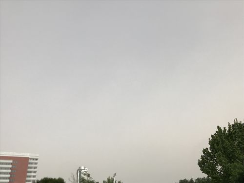 天津天空怎么变黄了?天津5号天气情况-图2 天津天空怎么变黄了?天津5号天气情况-图2