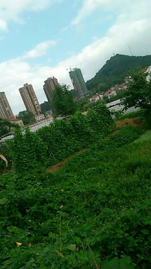 黄冈夏天游玩地方？英山夏天天气情况