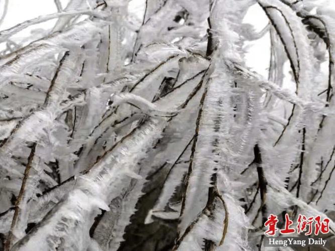 衡阳23号有雾凇吗?28号衡阳天气情况-图3 衡阳23号有雾凇吗?28号衡阳天气情况-图3