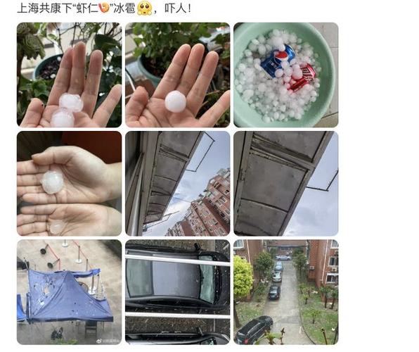 上海松江今天下冰雹了吗?查上海嘉定天气情况-图3 上海松江今天下冰雹了吗?查上海嘉定天气情况-图3