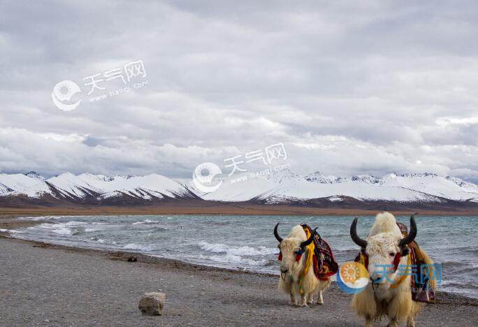 西藏林芝一年四季天气怎么样？西藏各景点天气情况