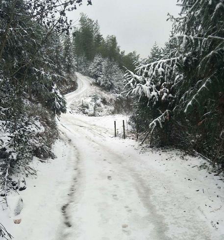 湖南怀化下大雪了吗?怀化现在什么天气情况-图2 湖南怀化下大雪了吗?怀化现在什么天气情况-图2