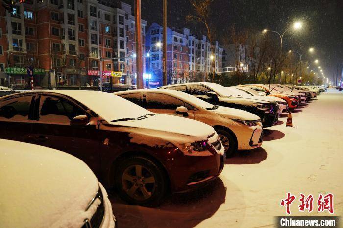 哈尔滨今天下大雪了吗?今天夜间哈尔滨天气情况-图2 哈尔滨今天下大雪了吗?今天夜间哈尔滨天气情况-图2