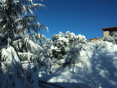 摩洛哥下雪吗?摩洛哥冬天天气情况-图2 摩洛哥下雪吗?摩洛哥冬天天气情况-图2