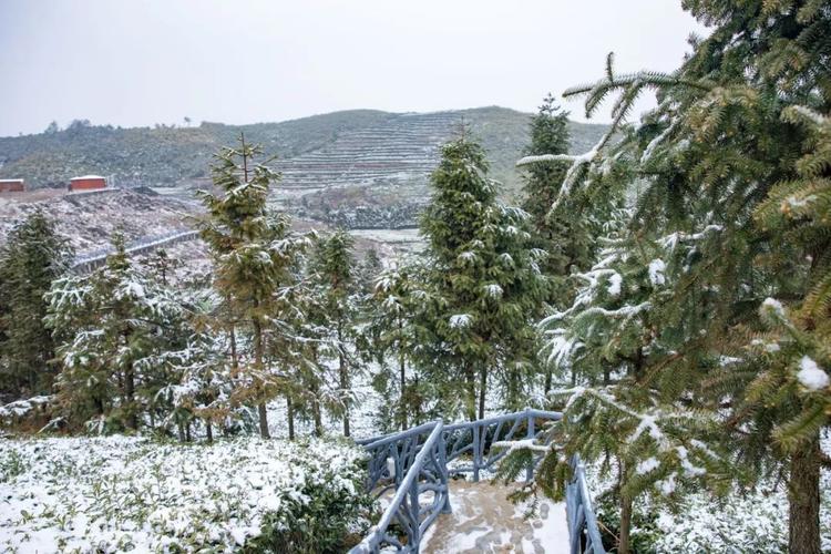 湖南益阳什么时候才会下雪啊?益阳冬天的天气情况-图2 湖南益阳什么时候才会下雪啊?益阳冬天的天气情况-图2