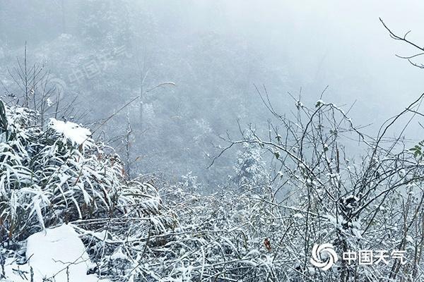 湖南益阳什么时候才会下雪啊?益阳冬天的天气情况-图3 湖南益阳什么时候才会下雪啊?益阳冬天的天气情况-图3
