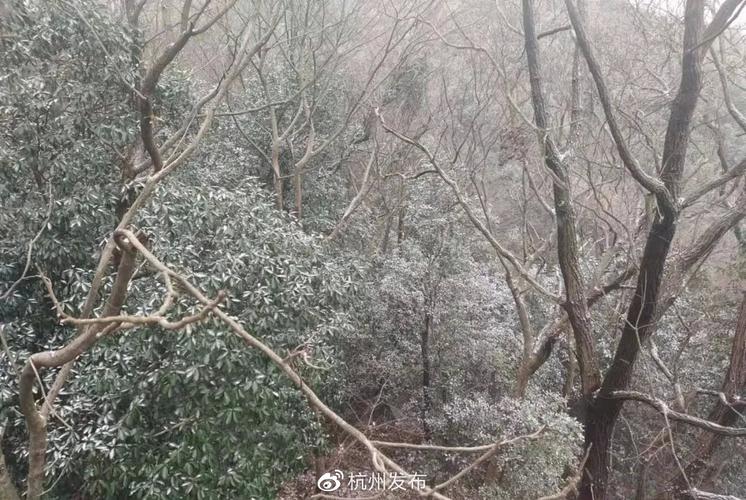 2023年桐庐会下雪吗?浙江桐庐的天气情况-图3 2023年桐庐会下雪吗?浙江桐庐的天气情况-图3