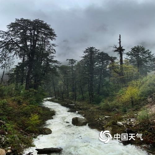 现在去英俊大峡谷合适吗?福贡明天天气情况-图2 现在去英俊大峡谷合适吗?福贡明天天气情况-图2